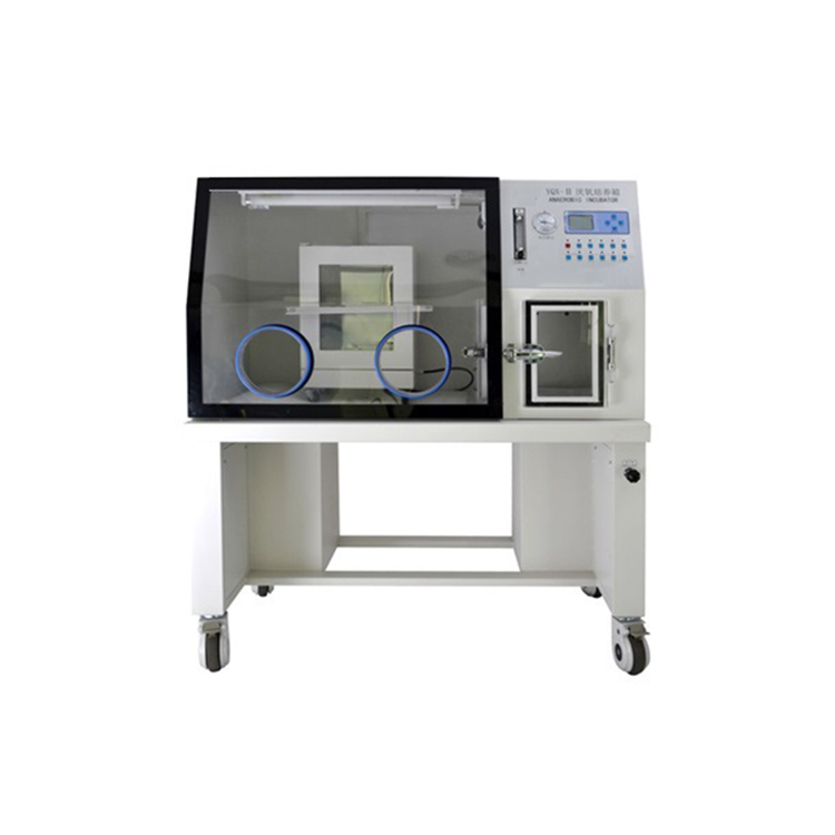 厭氧培養箱的厭氧形成方式是哪種