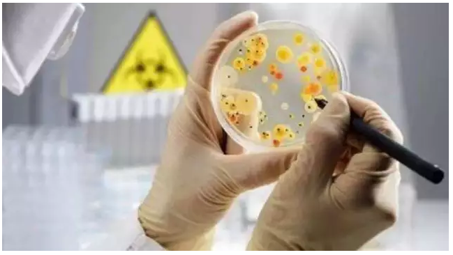 微生物檢測要求匯總